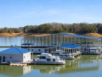 Douglas Lake Marinas