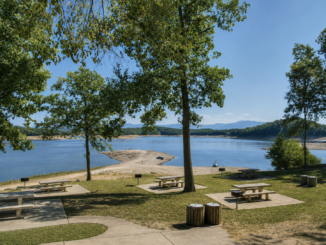Douglas Lake Campgrounds