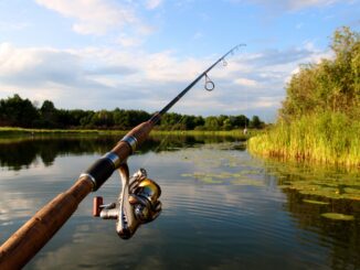 fishing trip to Douglas Lake | Douglas Lake Homes fishing trip to Douglas Lake