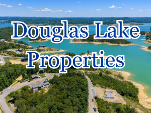 Douglas Lake Real Estate